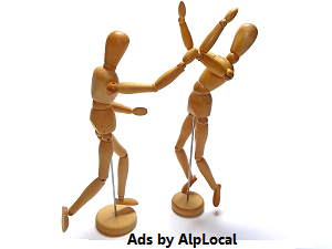 AlpLocal Martial Arts Mobile Ads